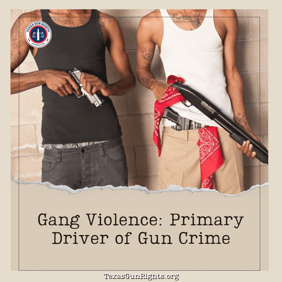 Gang Violence: Primary Driver of Gun Crime