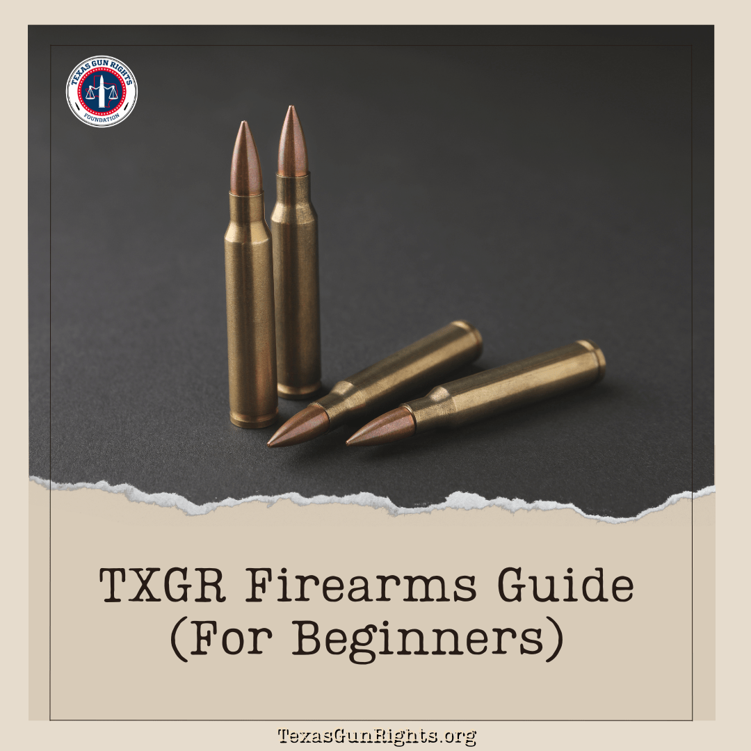 TXGR Firearms Guide (For Beginners)